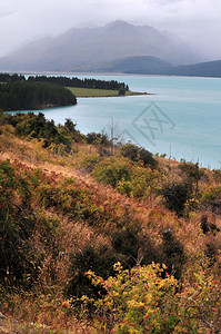 新西兰特卡波湖风景秀丽背景图片
