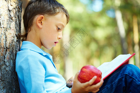 公园里坐在树干旁看书的聪明男孩的画像图片