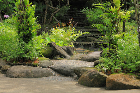 泰国绿色自然和水中图片