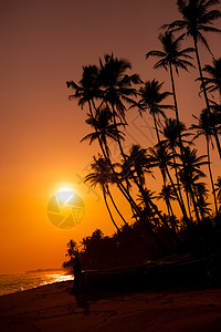 SriLanka海滩上美图片