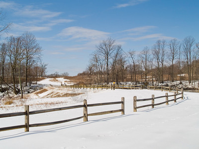 新泽西州中部的冬季景观图片