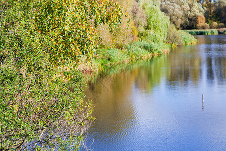 湖下的黄绿秋树图片