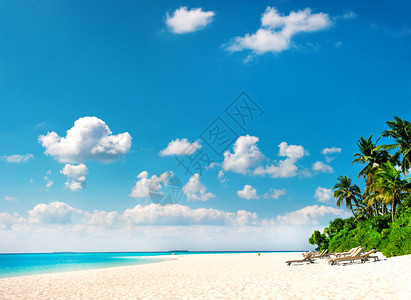 棕榈滩热带岛屿景观图片