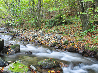 秋天的溪水图片