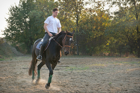 骑纯种马的年轻人背景图片