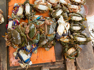 在越南市场上吃螃蟹东海图片