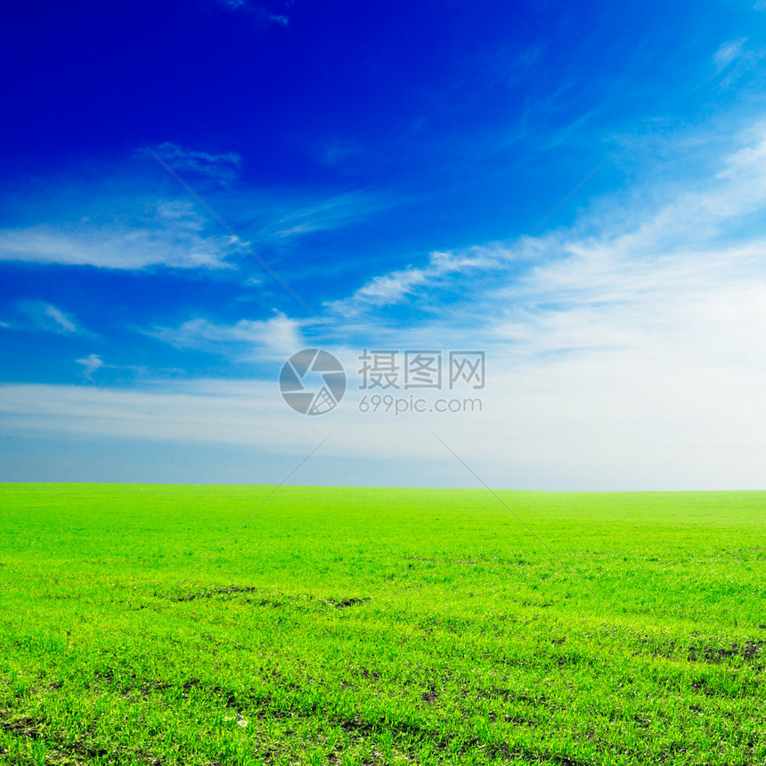 蓝天白云背景下的田野图片