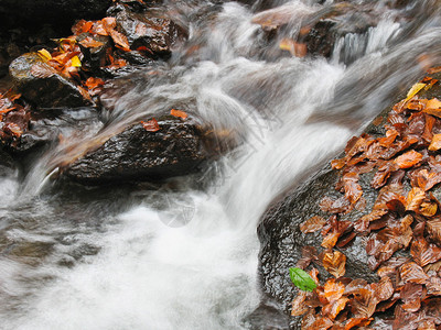 秋天的溪流图片