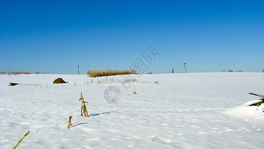 雪地上的冬季景观图片