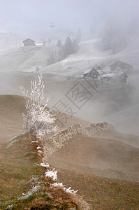 雾中山村图片
