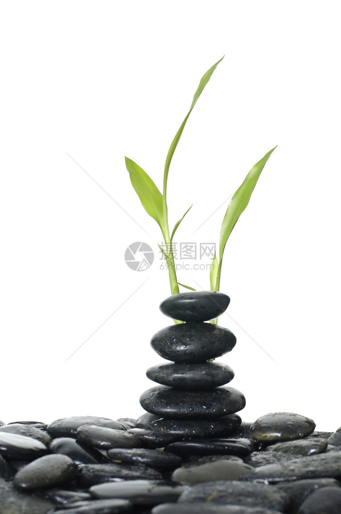 平衡的先石和竹子图片