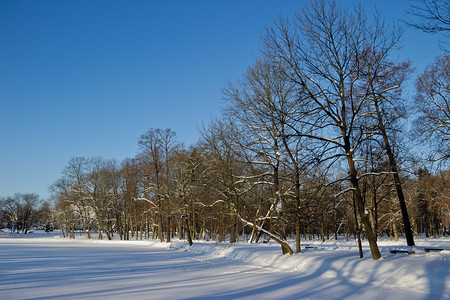 被雪覆盖的城市公园图片