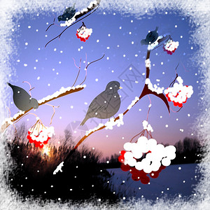 有鸟的卡片沙莓雪背景图片
