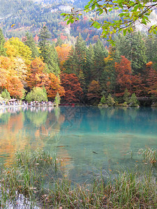 瑞士布劳西TroutylakeB图片