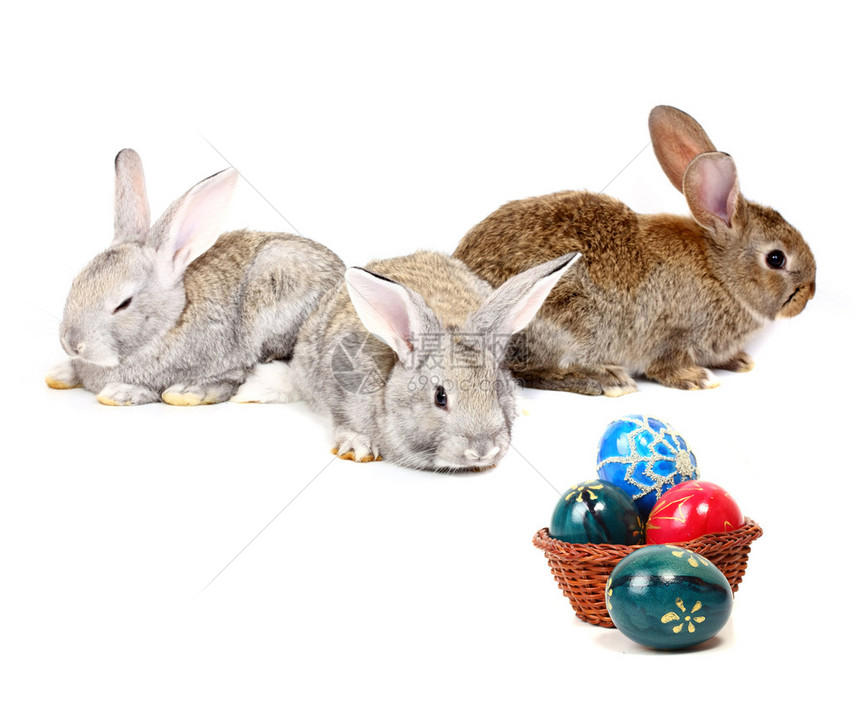 带着复活节彩蛋的小兔子图片