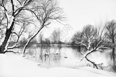 冬天的河流和冬天的树木图片