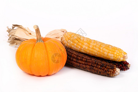 玉米和南瓜秋季装饰品背景图片