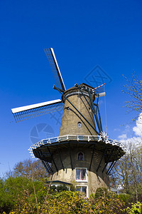 Alkmaar的美丽彩色风车图片