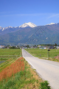 日本长野安昙野市通往山的直路图片