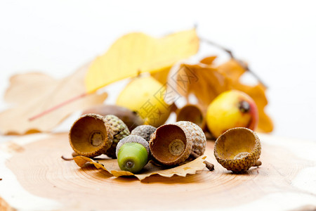 秋季水果图片