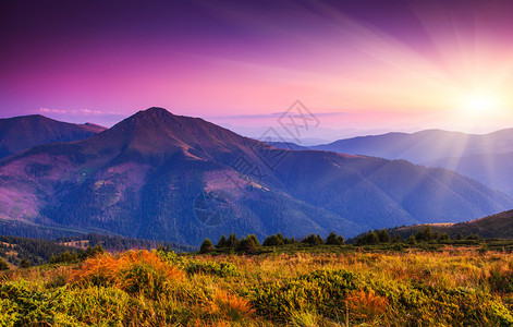 山景中壮丽的日落乌克兰喀尔巴阡山脉图片