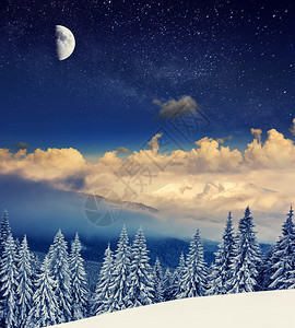 美丽的冬季风景和雪覆盖的树木图片