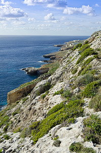 马耳他群岛南部海岸图片