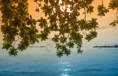 泰国热带浪漫日落绿图片