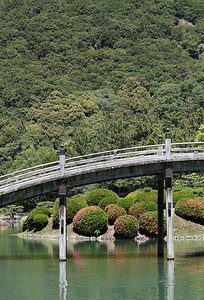 日本庭园中的木桥和池塘图片