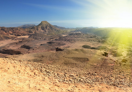 沙漠和阳光令人愉图片
