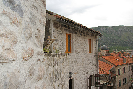 在黑山科托尔的老楼顶背景图片