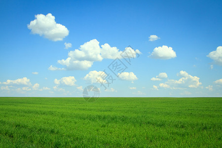 蓝天上有绿草和云彩的田野图片