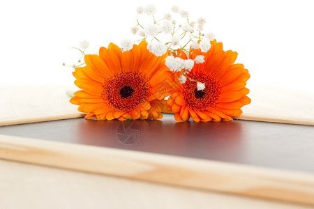 春季上新优惠券空白黑板上的橙色非洲菊和白色石竹背景