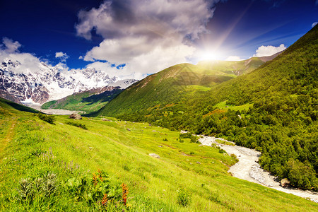 斯瓦涅蒂山脚下的阿尔卑斯山草原图片