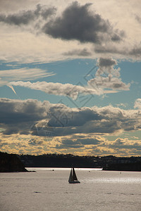 帆船游艇在悉尼港口图片