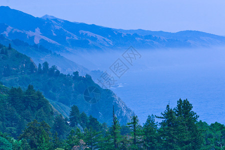 美国加利福尼亚州蓝色雾图片