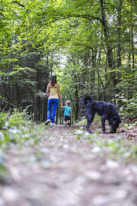 年幼的母亲和她的小孩儿子带着黑狗在美丽的树图片