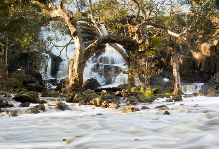 澳大利亚西维多利亚州美丽的尼格雷塔瀑布图片