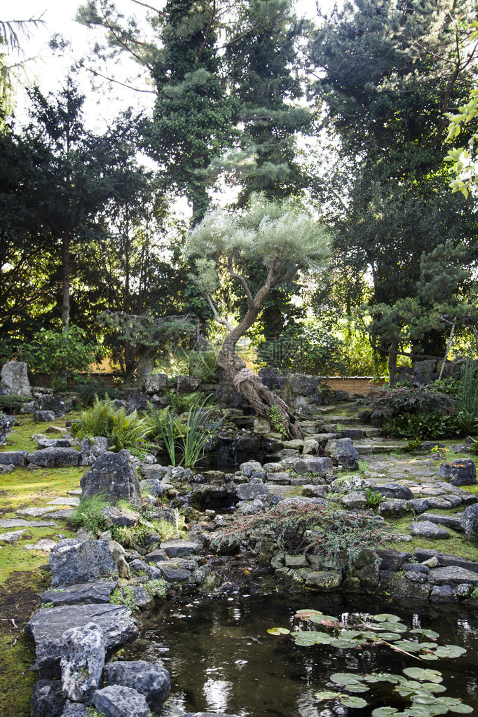 绿意盎然的日本庭园图片