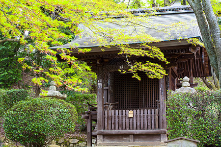 日本神庙的美景供adv或图片