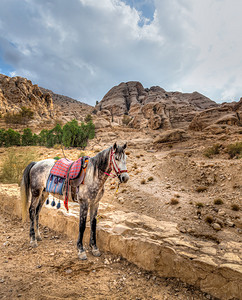在通往约旦佩特拉的峡谷AlSiq入口处附图片