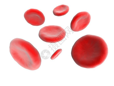 血细胞上白色孤立背景图片