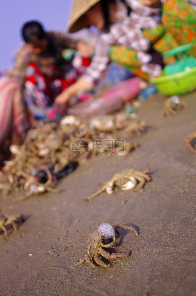 越南美奈海滩上的渔商图片
