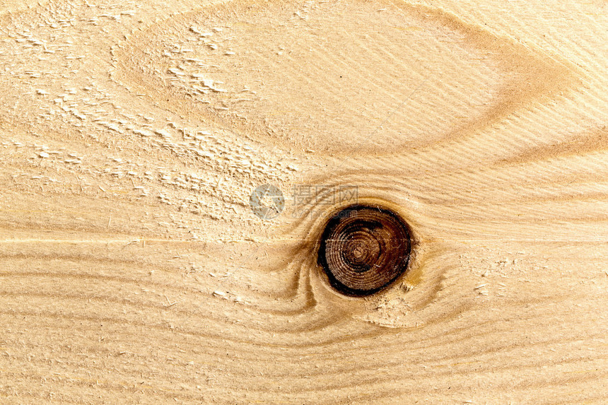 木树板纹理图案年环手选硬木用5图片