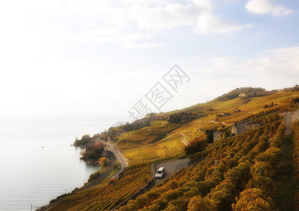 瑞士Lavau图片