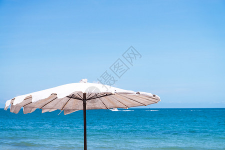 沙滩上的伞状图片