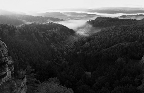 在波希米亚萨克森瑞士美丽的山日出砂岩山峰和小山从有雾的背景中增加第一缕阳背景图片