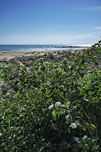 意大利西里南沙海岸地中海图片