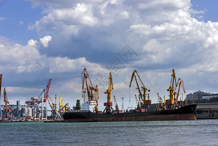 货物海港海上货运起重机图片