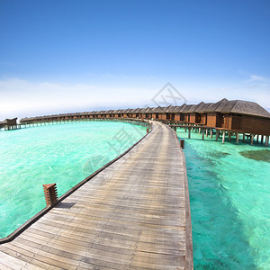 桩上的水上别墅maldives图片
